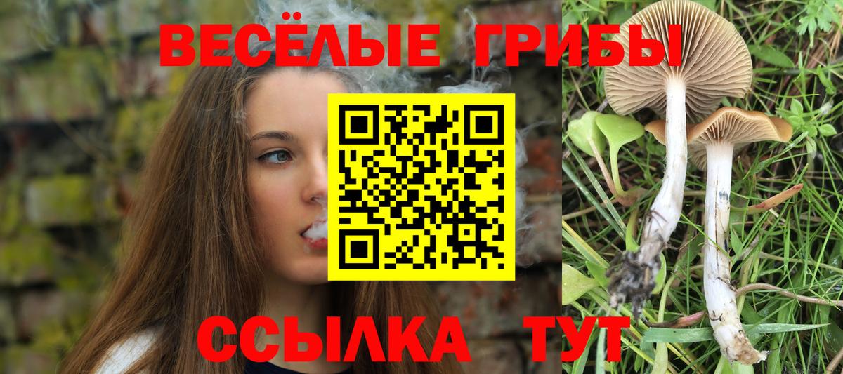 Галлюциногенные грибы ЛСД Пыть-Ях