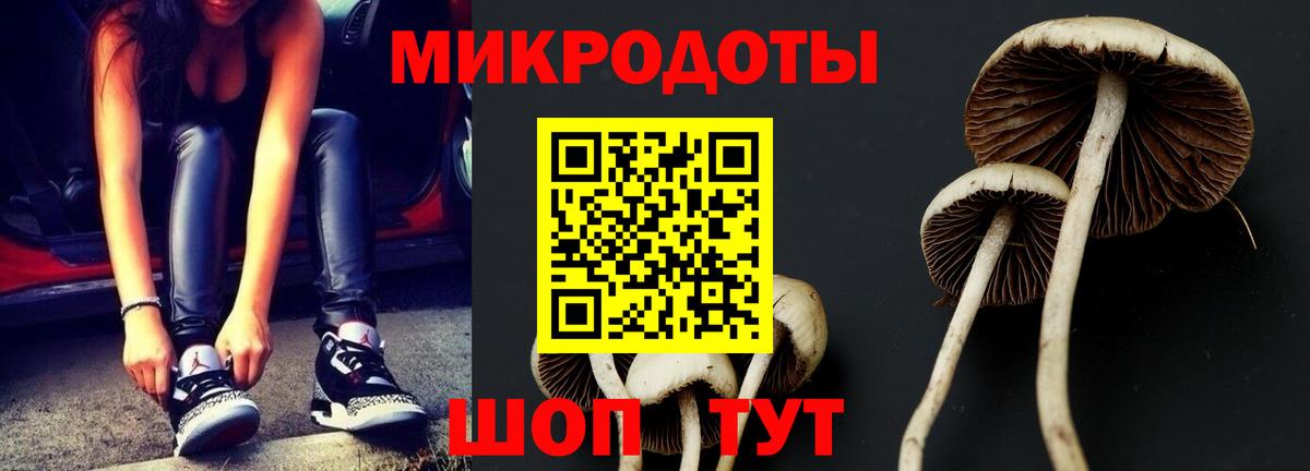 Псилоцибиновые грибы прущие грибы  Вход с VPN  Пыть-Ях 